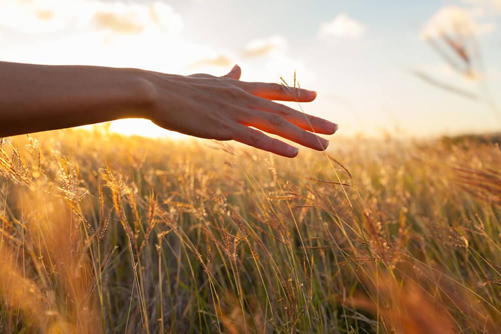 Mon savoir-faire, un parcours professionnel dans l'accompagnement depuis 20 ans